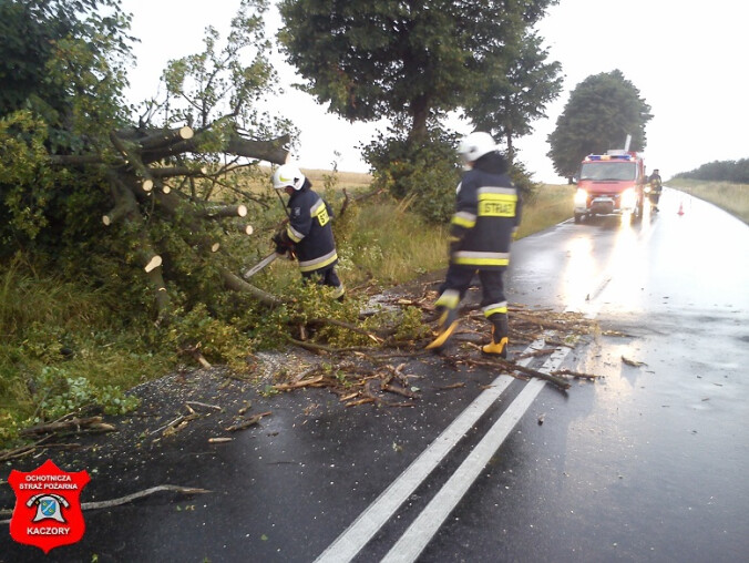 Drzewo przewróciło się na samochód - grafika