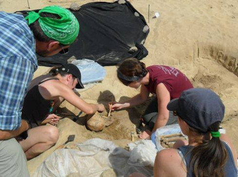 Archeolodzy zakończyli prace w Drawsku - grafika