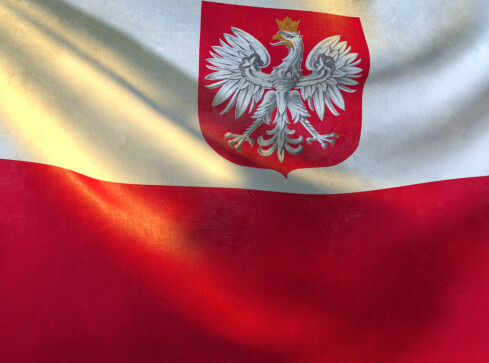 Znamy datę wyborów samorządowych - grafika