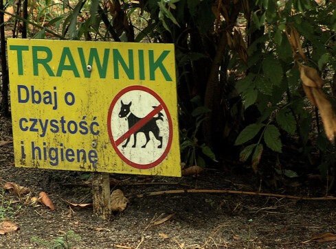 Estetyczny problem na trawnikach - grafika