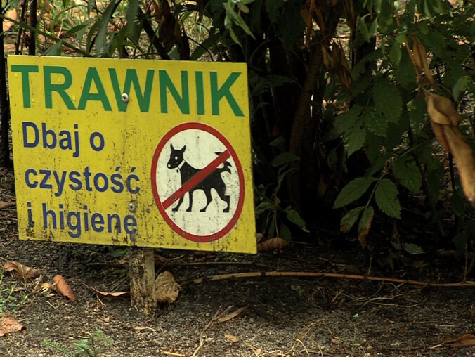 Estetyczny problem na trawnikach - grafika