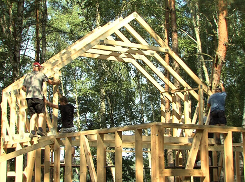 Rewolucja na Płotkach  - grafika