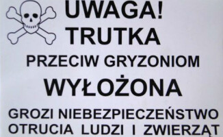 Powalczymy ze szczurami