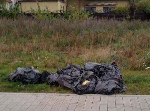 Sprzątanie ziemi - fikcja czy szczytna akcja? - grafika