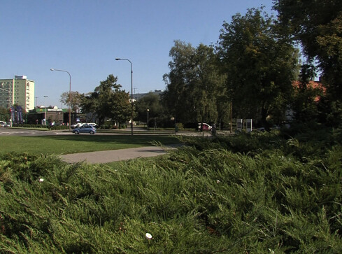 To jest niezręczność - grafika