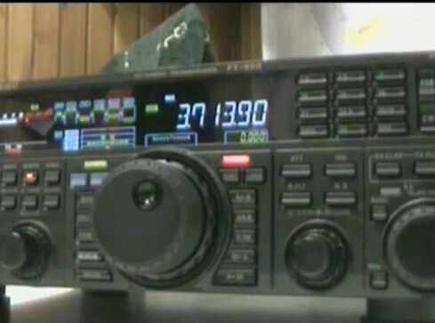 Niepełnosprawni "na fali" - grafika