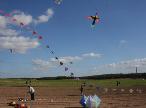 Tysiące latawców pod wiatrakiem - grafika
