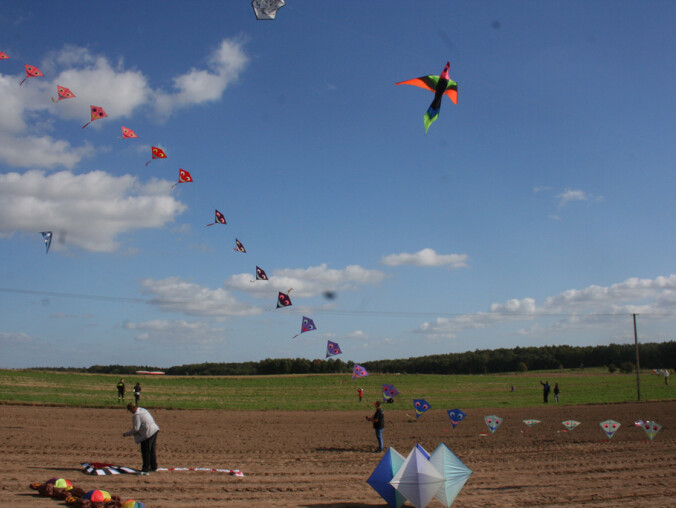 Tysiące latawców pod wiatrakiem - grafika