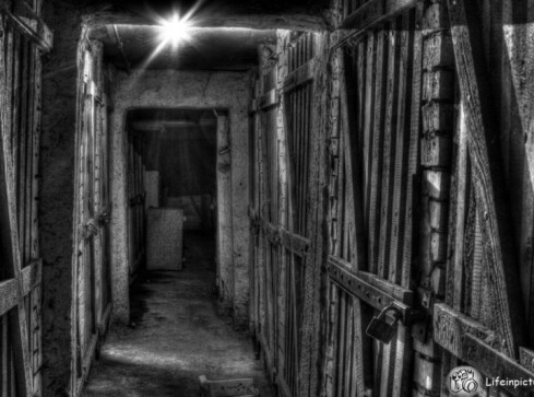 Śmierć w piwnicy - grafika