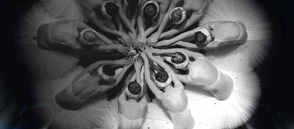 O dziewczynie zamienionej w łabędzia