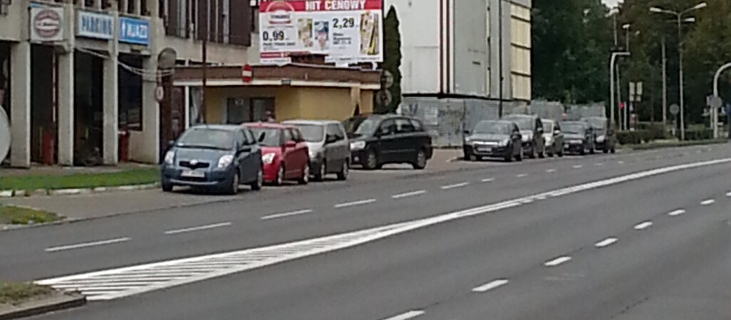 "Święte krowy", czyli parkowanie po pilsku