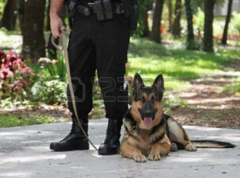 Policja szuka psów - grafika