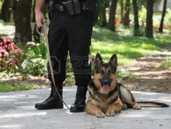Policja szuka psów - grafika