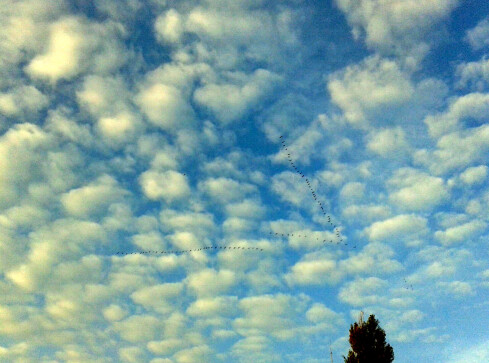 Jesień idzie. Rady na to nie ma - grafika