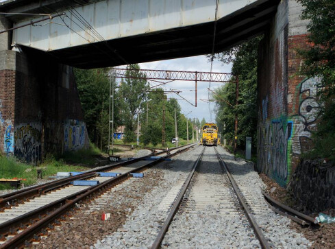 Desperat na torowisku - grafika