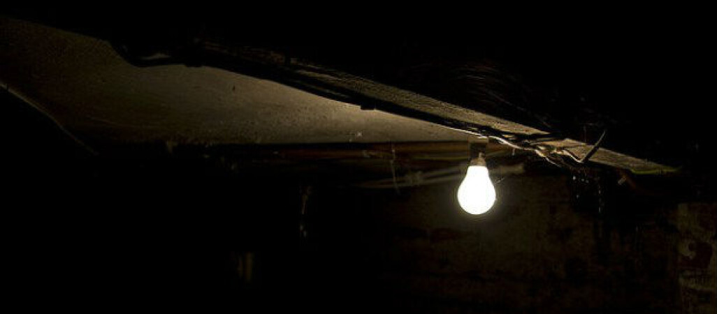 Amator wina i... rękawic