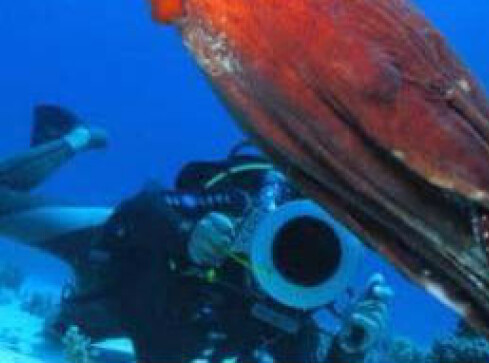 Kiedy głębia jest pasją - grafika