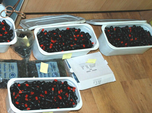 Okradali szefa po godzinach - grafika