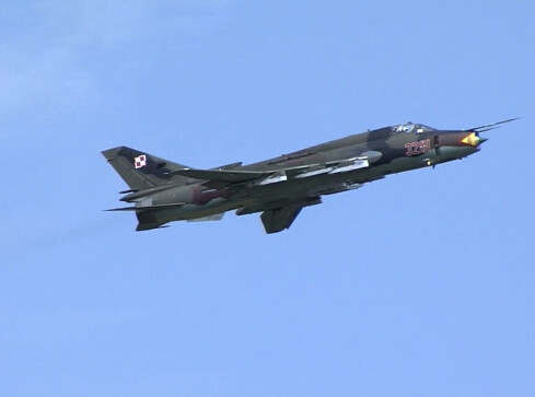 Wystawy, narodowe czytanie i festyn lotniczy - grafika