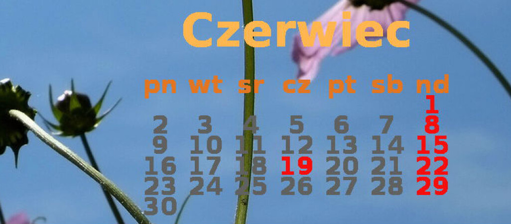 Podsumowanie 2014r. - czerwiec