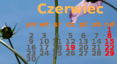 Podsumowanie 2014r. - czerwiec - grafika