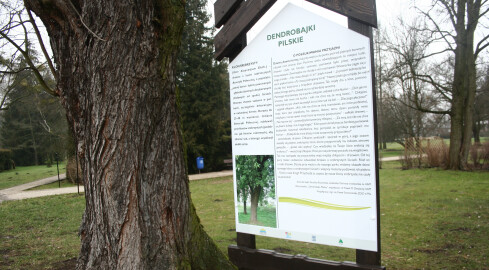 "Dendrobajki Pilskie" w miejskim parku. O co chodzi? - grafika