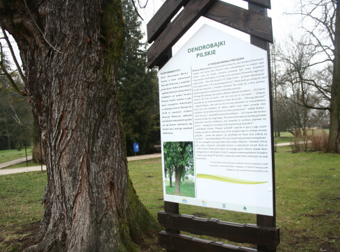 "Dendrobajki Pilskie" w miejskim parku. O co chodzi? - grafika