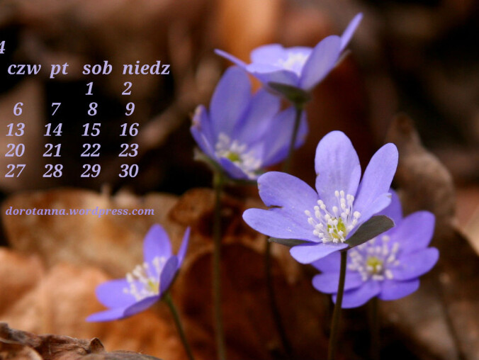 Podsumowanie 2014 - marzec - grafika