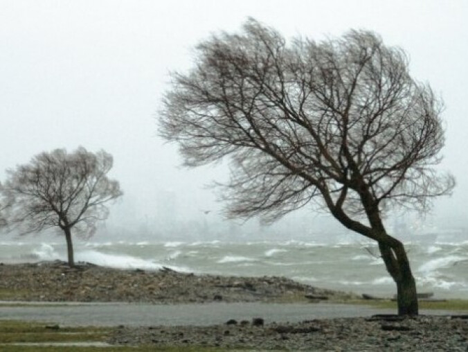 To jeszcze nie koniec wichur - grafika