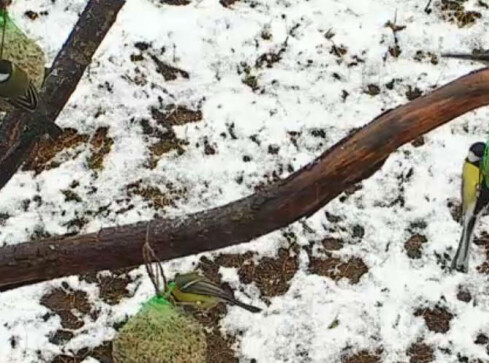 Dobrze posiedzieć przy żubrze... - grafika