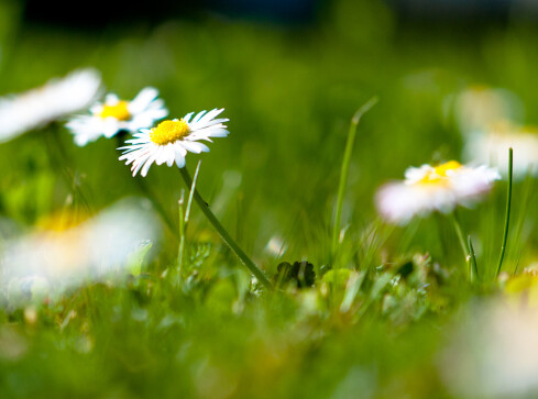 Wiosna w TV Asta – nowa ramówka - grafika