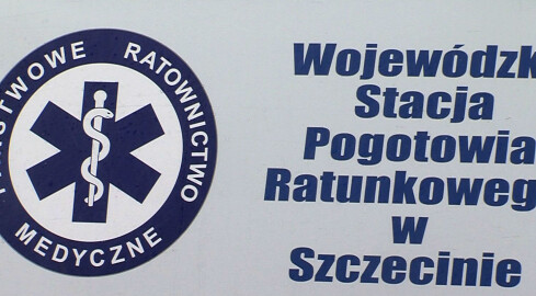 Pomagali, czy udawali? - grafika