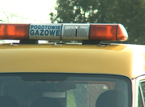 Ekonomia zwyciężyła rozsądek - grafika