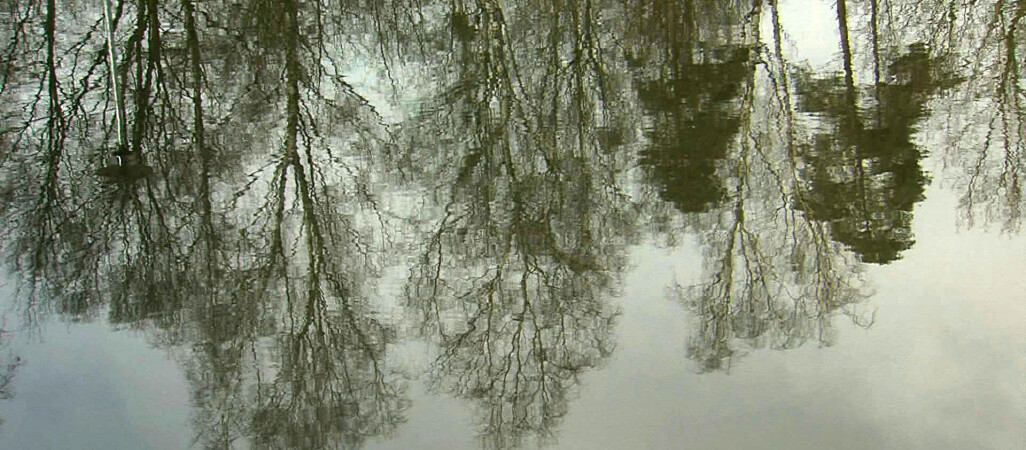 Czy 30-latek utonął?