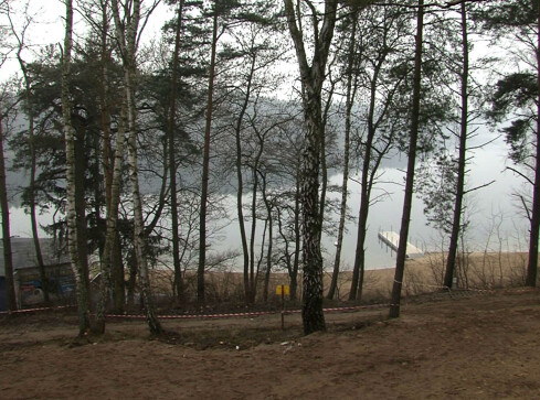 W obiektywie: Płotki z lotu ptaka - grafika