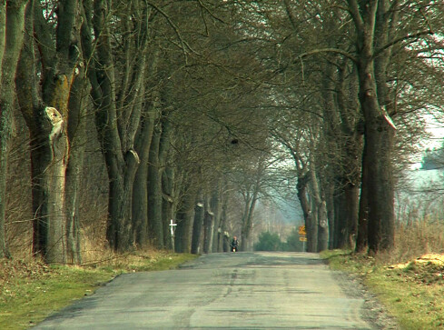 Pętla trzcianecka do 2020r. - grafika