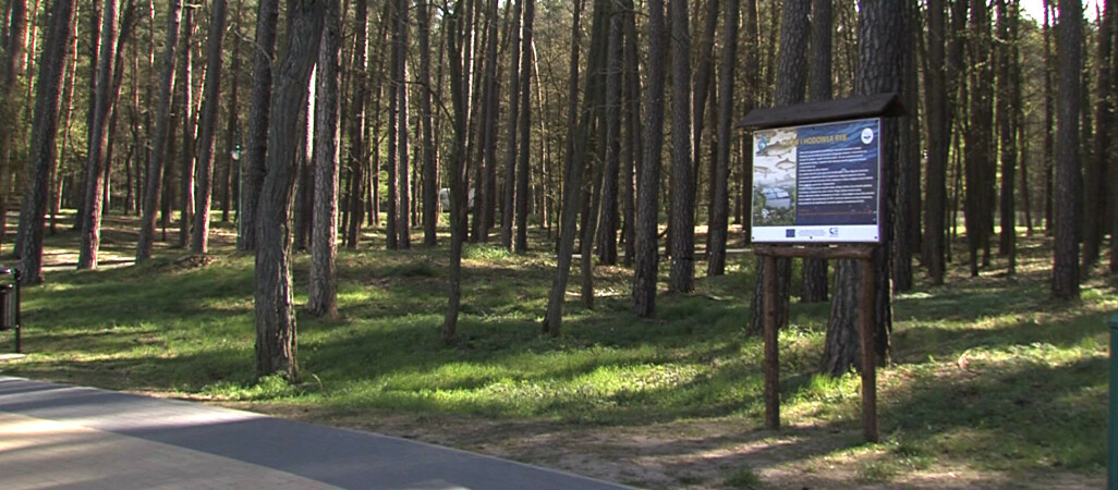 W Trzciance powstanie park linowy