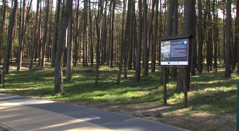 W Trzciance powstanie park linowy - grafika