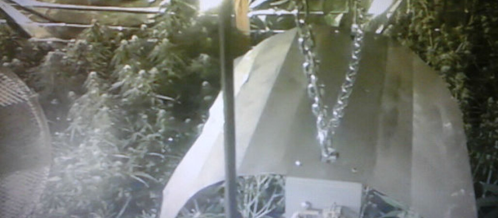 Zamknęli narkotykową fabryczkę