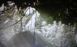 Zamknęli narkotykową fabryczkę