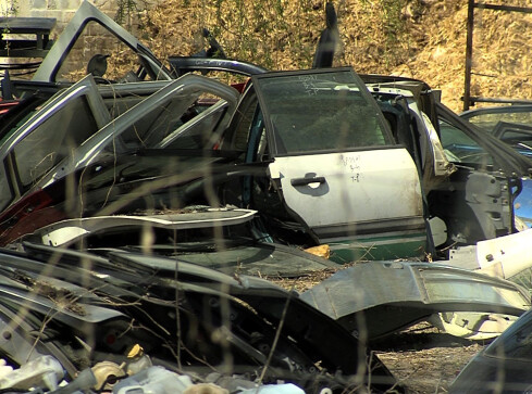 Dziupla pod Czarnkowem - grafika