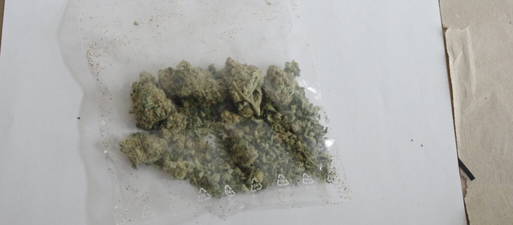 Marihuana zamiast przypraw?