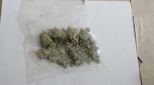 Marihuana zamiast przypraw? - grafika