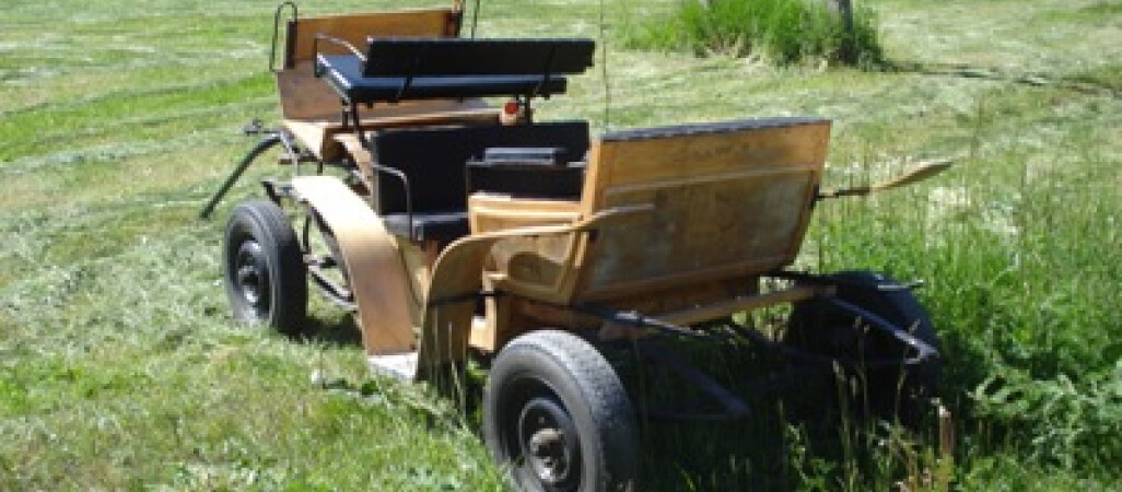 Śmiertelnie niebezpieczna przejażdżka bryczką