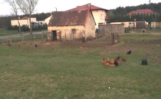 Wioska w mieście