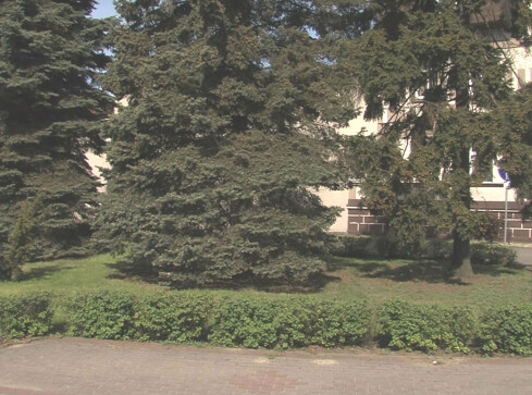 Pomnik dla księdza Domańskiego? - grafika