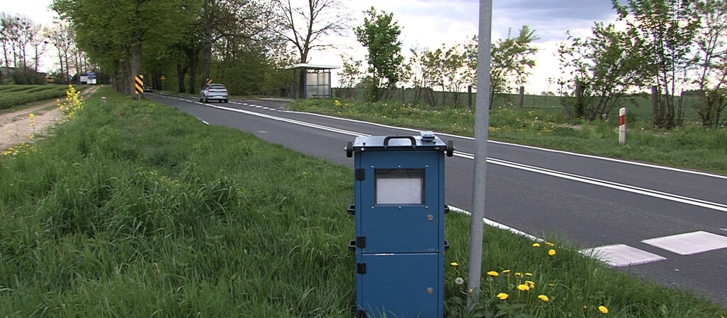 Łamią prawo czy go strzegą?