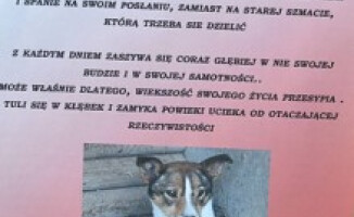 Tinka traci nadzieję...