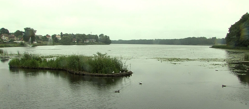 Przygotowania pełną parą