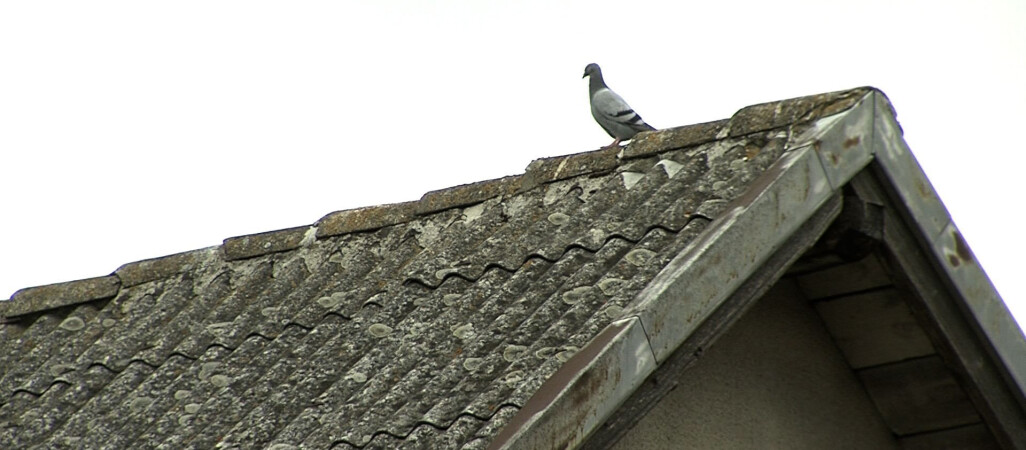 Dotacja na usuwanie rakotwórczego azbestu